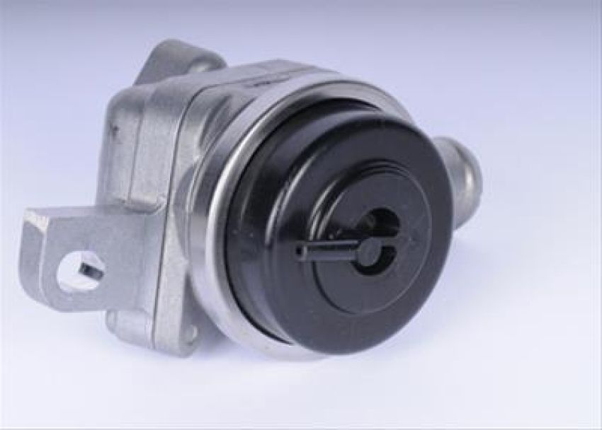 ACDelco AIR Check Valves 24508523