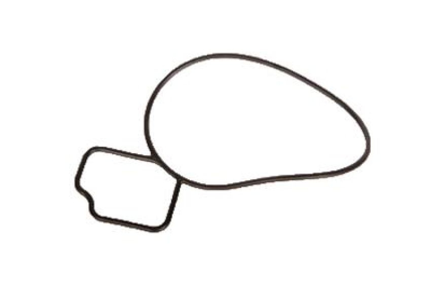 ACDelco GM Genuine Parts Water Pump Gaskets 24439799