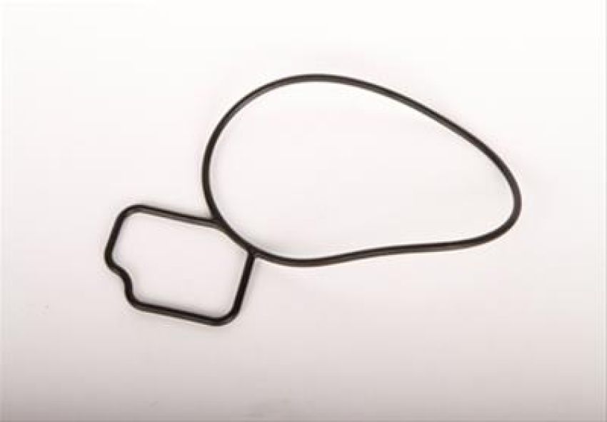 ACDelco GM Genuine Parts Water Pump Gaskets 24439799