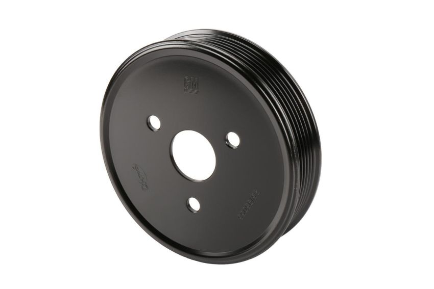 ACDelco Water Pump Pulleys 25195055