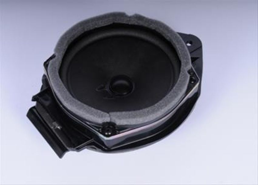 ACDelco Radio Speakers 25775451