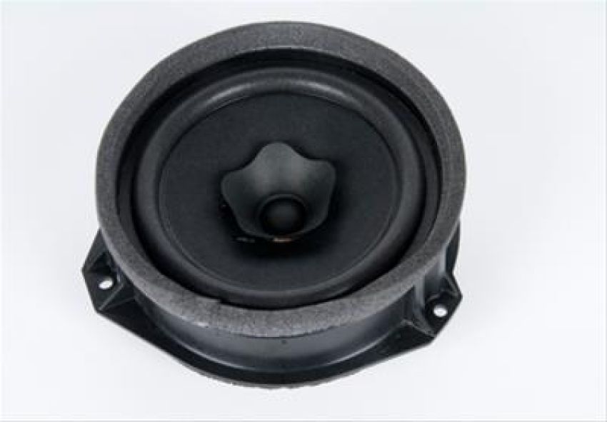 ACDelco Radio Speakers 25845394
