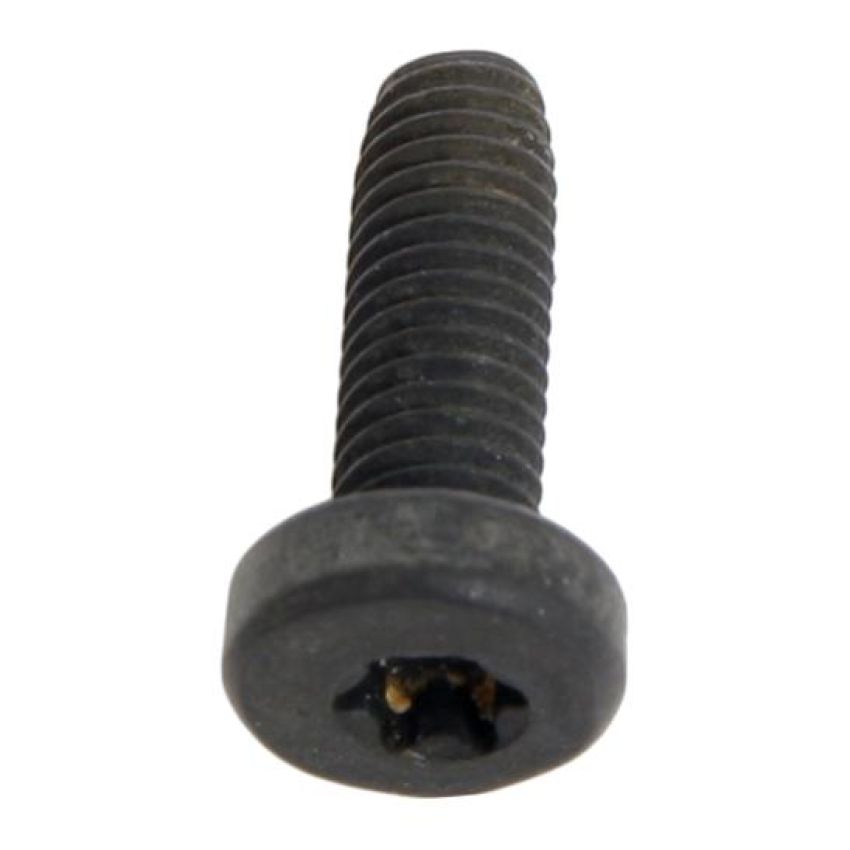 ACDelco GM Genuine Parts Replacement Bolts 26036497