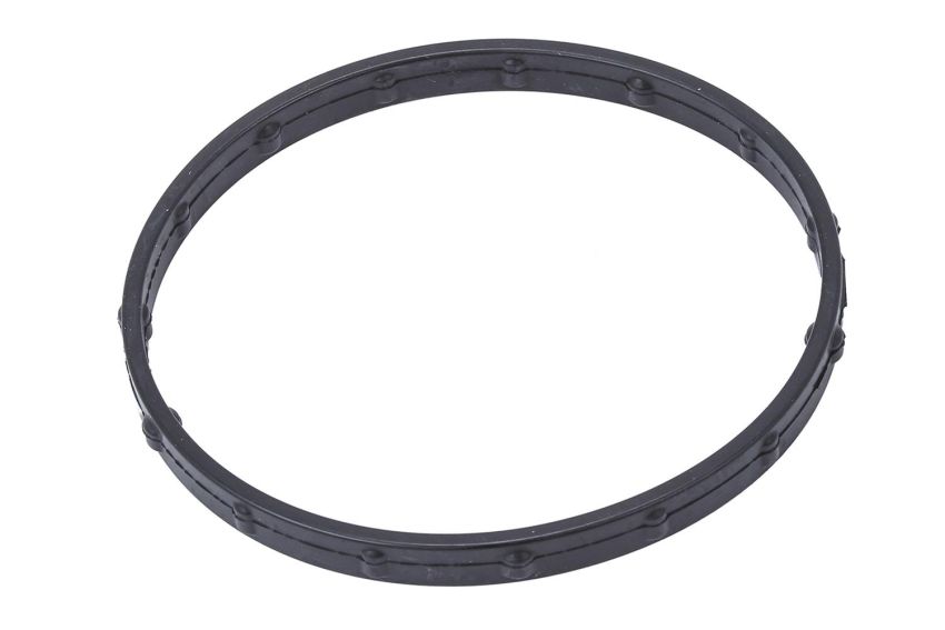 ACDelco Throttle Body Gaskets 55490568