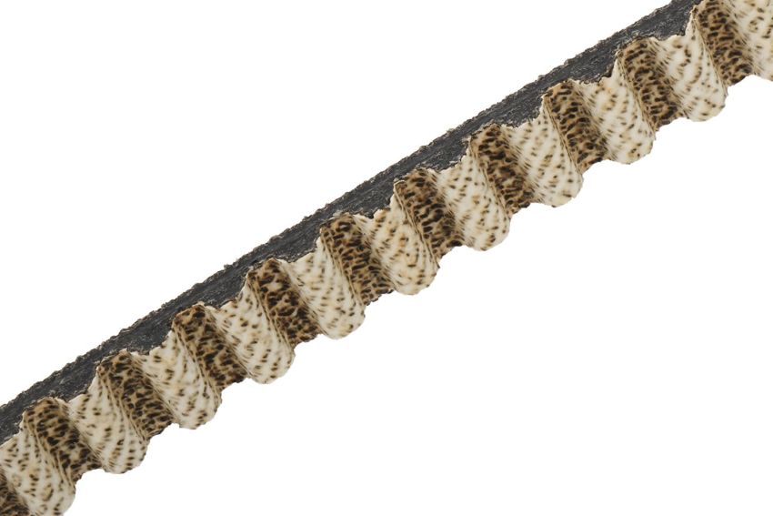 ACDelco Replacement Timing Belts 55493234