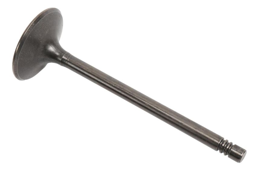 ACDelco GM Genuine Parts Engine Valves 55563529