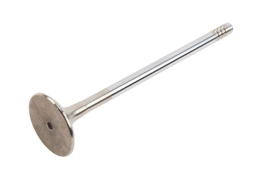 ACDelco Valves 55565339