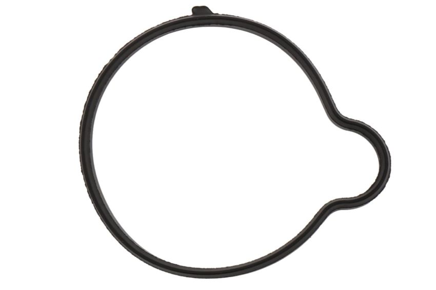ACDelco Water Neck and Thermostat Housing Seals 55565619