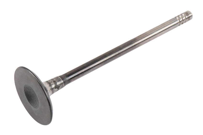 ACDelco GM Genuine Parts Engine Valves 55568831