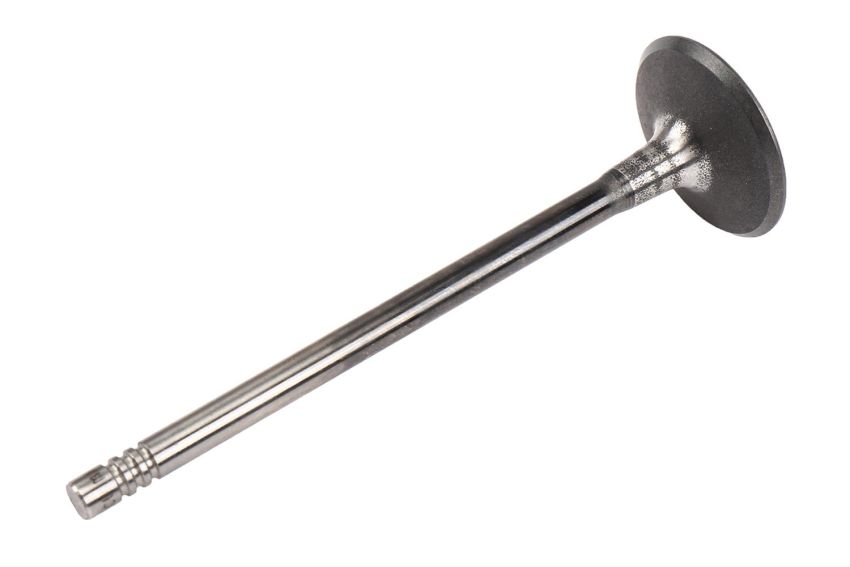 ACDelco GM Genuine Parts Engine Valves 55568831