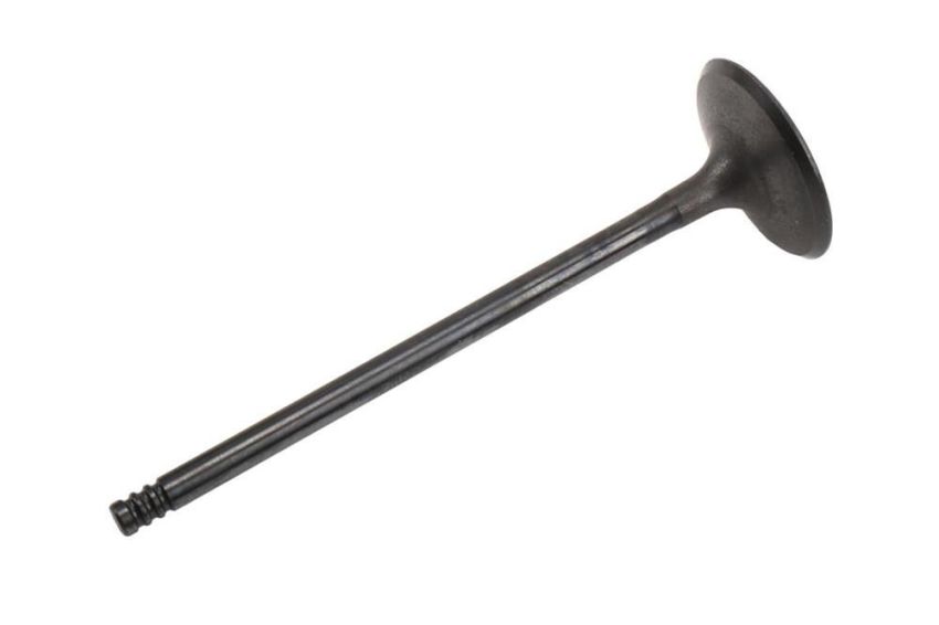 ACDelco - Valves for 2011-2015 CRUZE, 2016 CRUZE LIMITED, 2012-2018 SONIC - 55569449