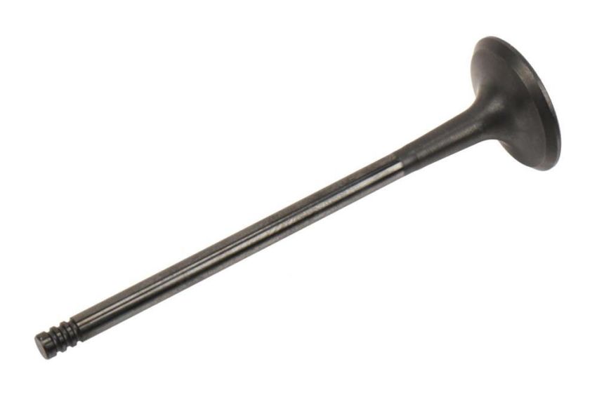 ACDelco - Valves for 2011-2015 CRUZE, 2016 CRUZE LIMITED, 2012-2018 SONIC - 55569450