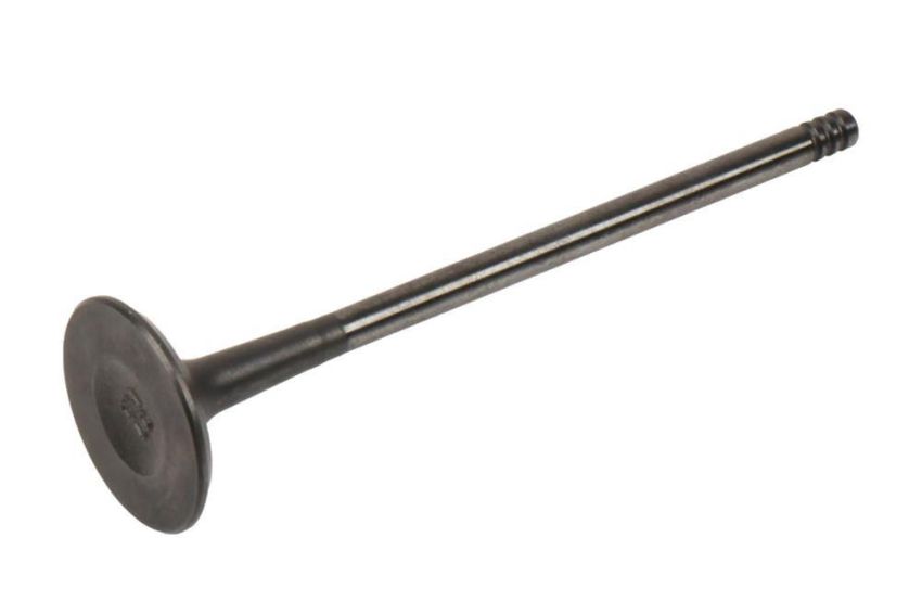 ACDelco - Valves for 2011-2015 CRUZE, 2016 CRUZE LIMITED, 2012-2018 SONIC - 55569450