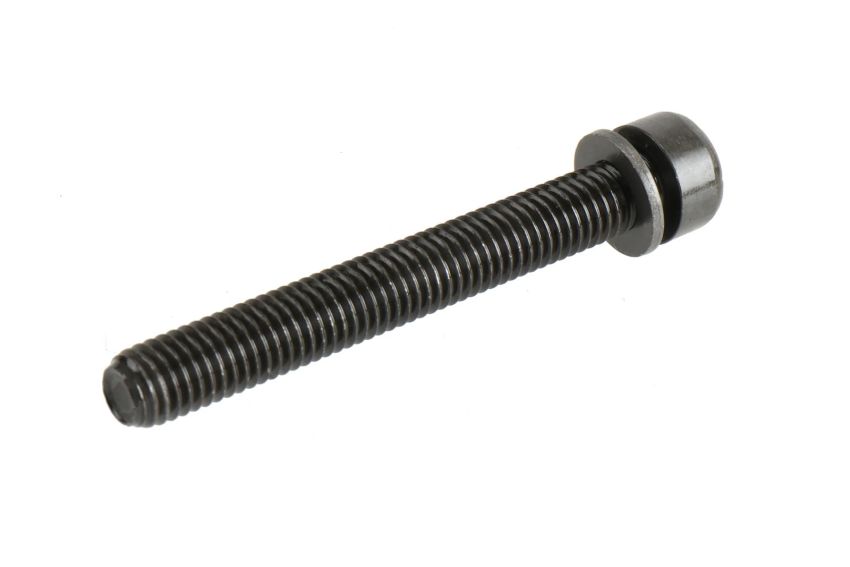ACDelco GM Genuine Parts Replacement Bolts 55570291
