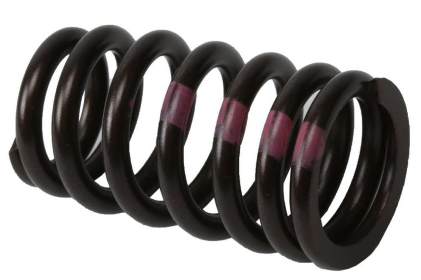 ACDelco - Valve Springs for 2011-2015 CRUZE, 2016 CRUZE LIMITED, 2012-2018 SONIC - 55571551