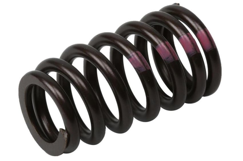 ACDelco - Valve Springs for 2011-2015 CRUZE, 2016 CRUZE LIMITED, 2012-2018 SONIC - 55571551