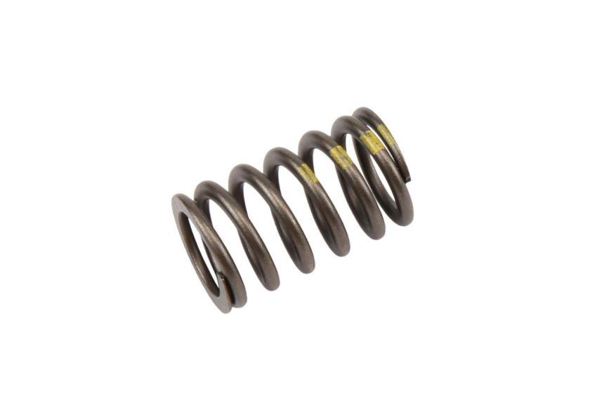 ACDelco Valve Springs 90537032