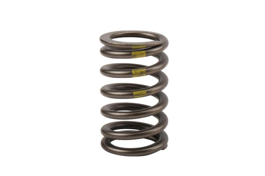 ACDelco Valve Springs 90537032