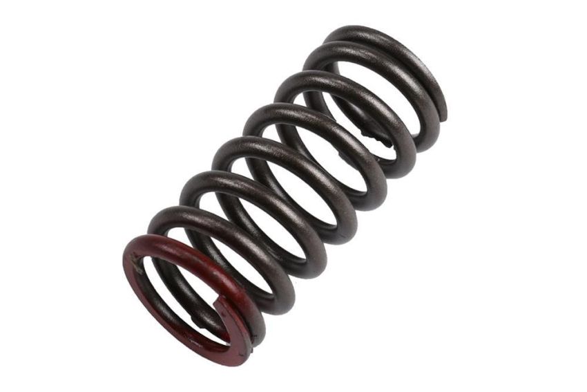 ACDelco Valve Springs 96990215