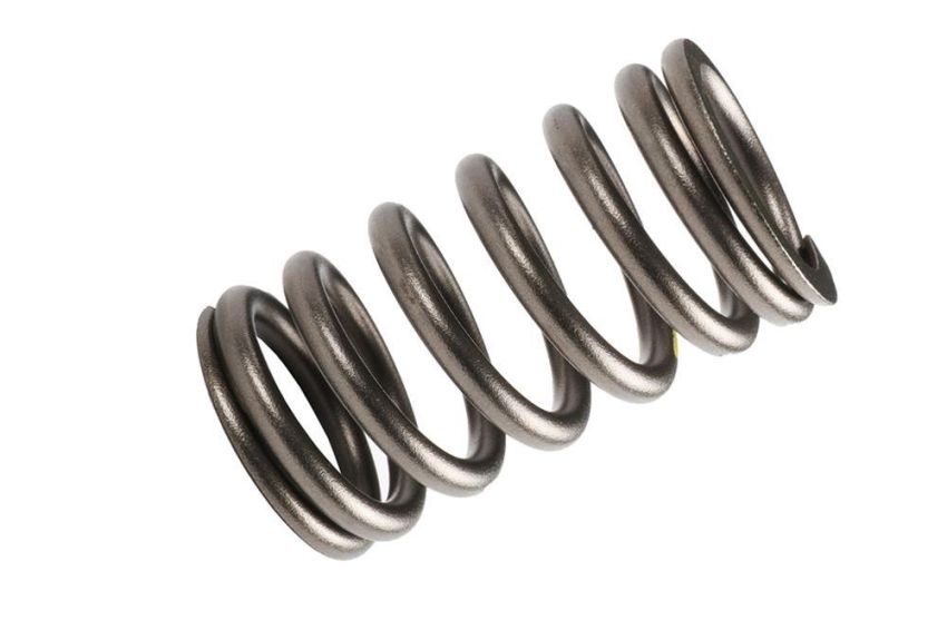 ACDelco Valve Springs 98025825