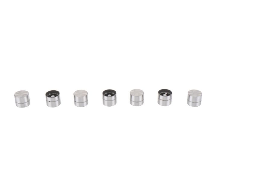 ACDelco Hydraulic Lifters and Lash Adjusters 24419109
