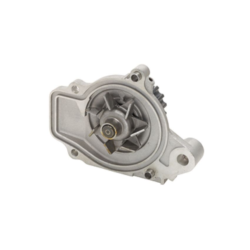Dayco DP019 Water Pump