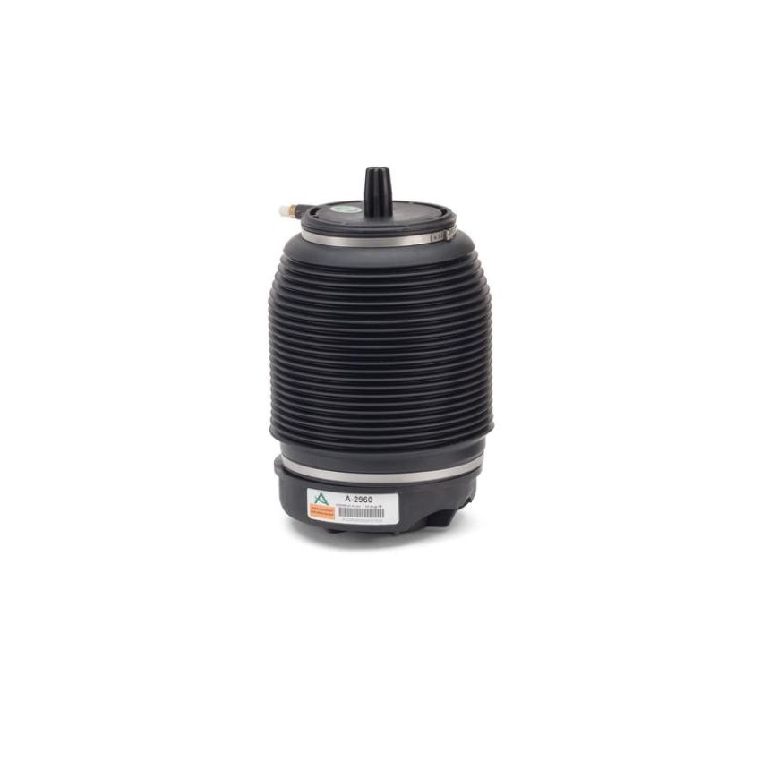 Arnott Industries A-2960 Air Spring