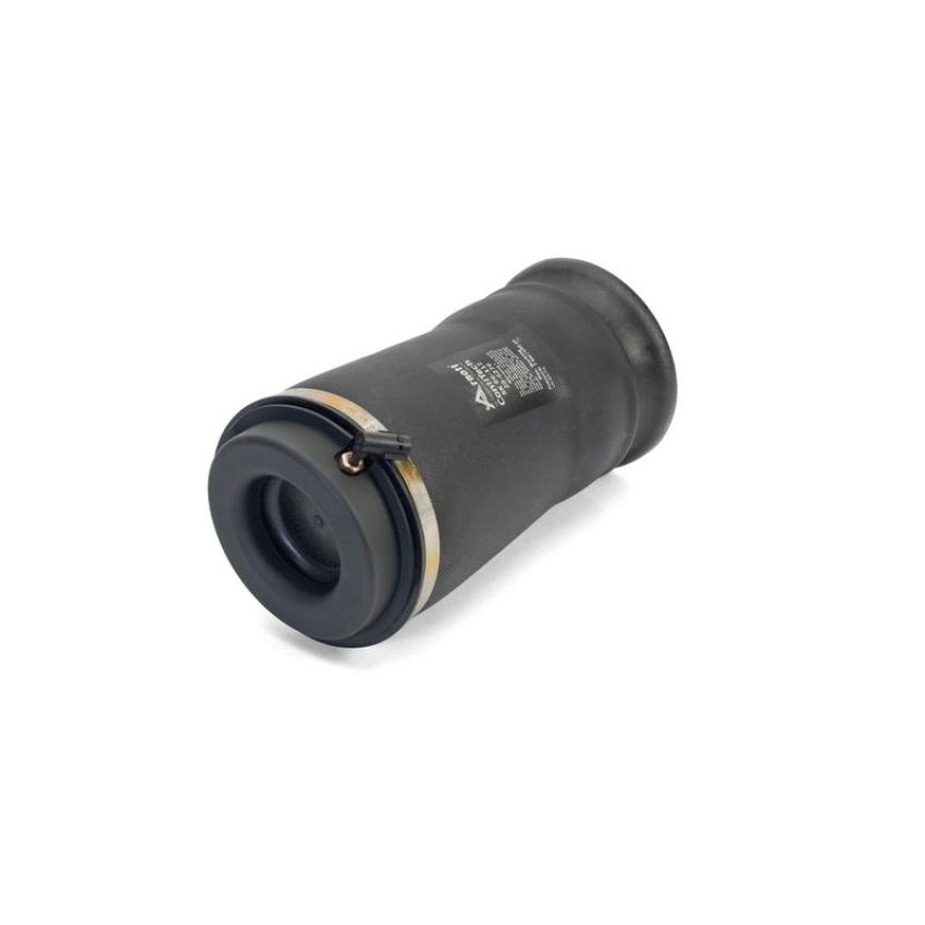 Arnott Industries A-3010 Air Spring
