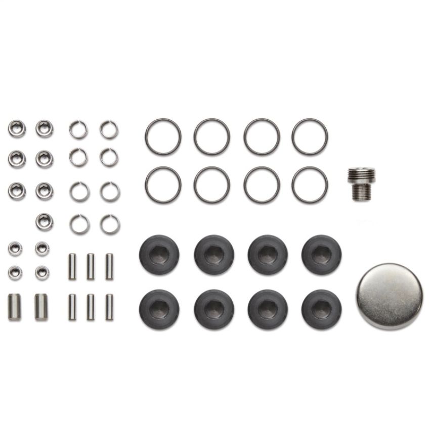 Ford Racing M-6026-A460X Plug And Dowel Kit For A460X Blocks