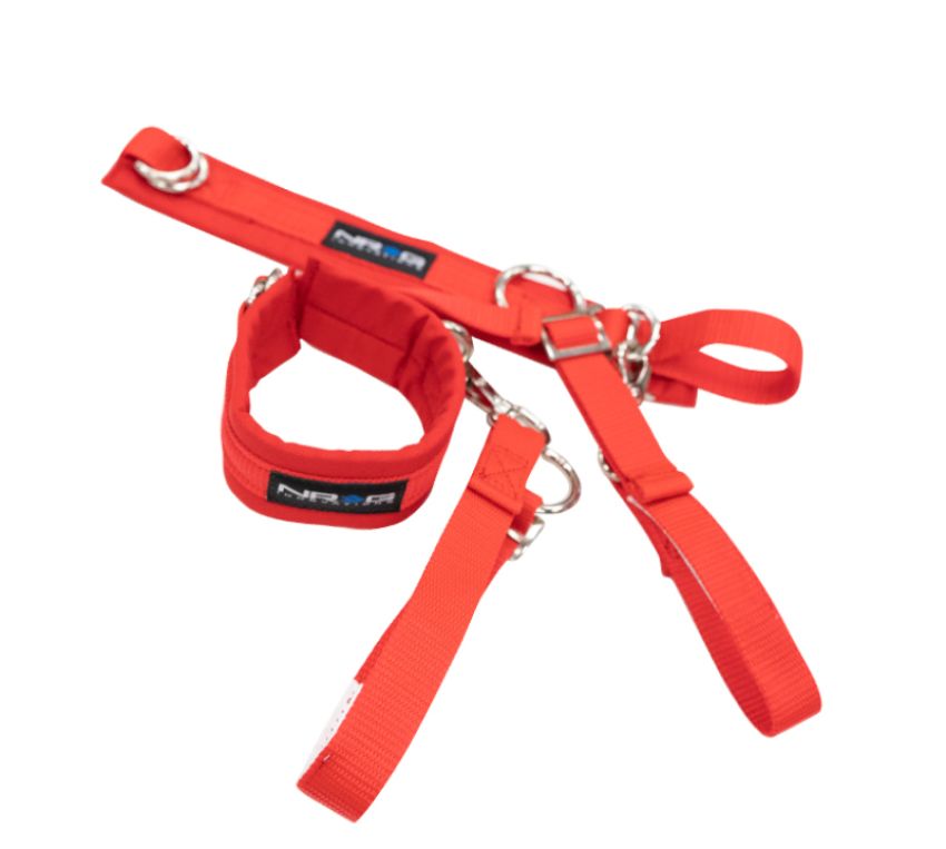 NRG SBH-AR01RD SFI 3.3 Arm Restraints One Pair - Red