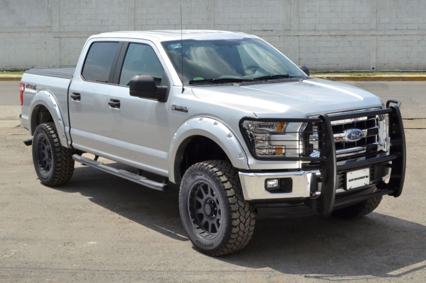 Go Rhino 3363B 04-04 Ford F-150 3000 Series StepGuard - Black (Center Grille Guard Only)