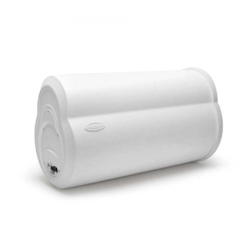 Bazooka MBTA10250D Marine -10 In 250W