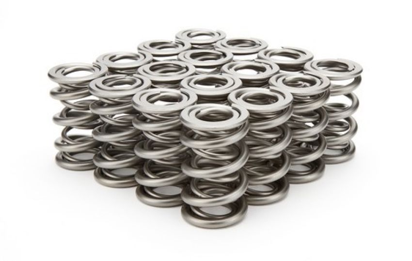 PAC RACING SPRINGS PACPAC-1328-16 1.625 Dual Valve Springs - (16)