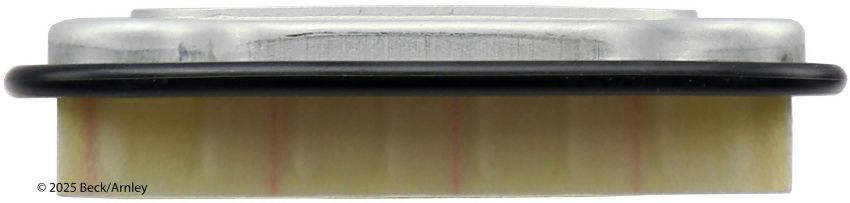 BECK/ARNLEY 042-0513 AIR FILTER
