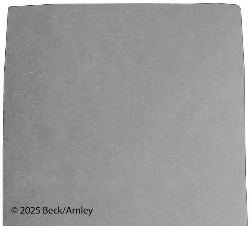 BECK/ARNLEY 042-1396 AIR BREATHER FILTER