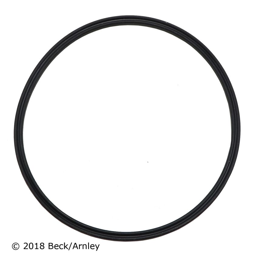BECK/ARNLEY 043-3041 IN TANK FUEL FILTER