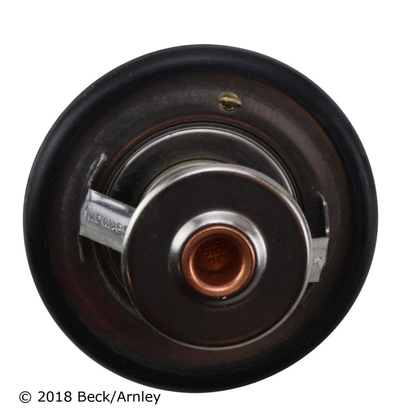 BECK/ARNLEY 143-0890 TSTAT with HOUSING