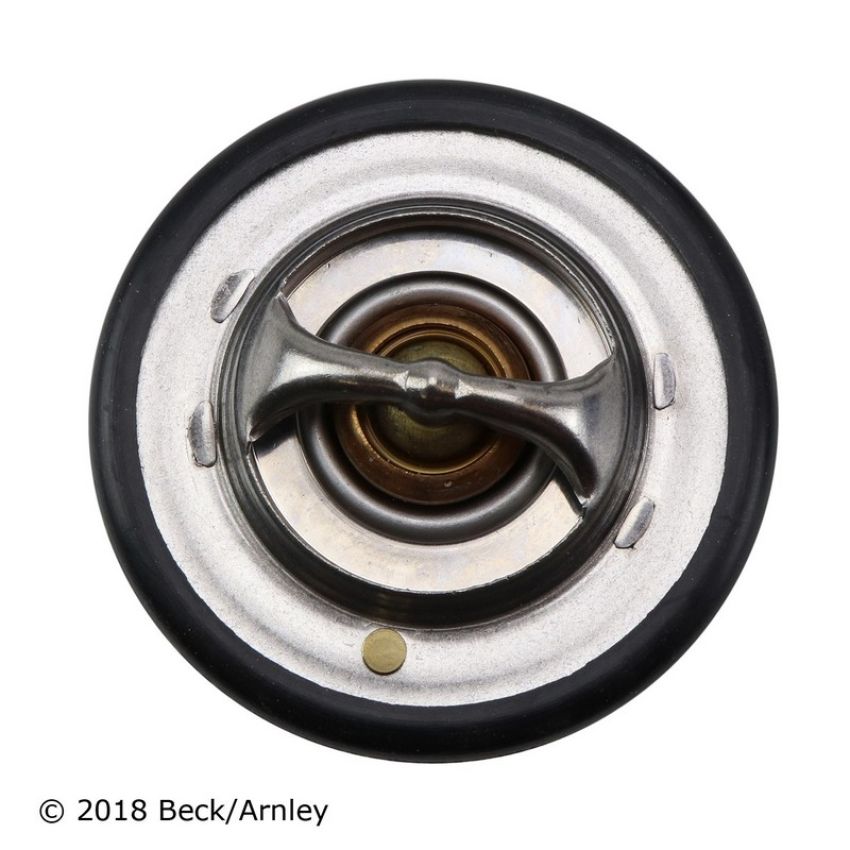BECK/ARNLEY 143-0890 TSTAT with HOUSING