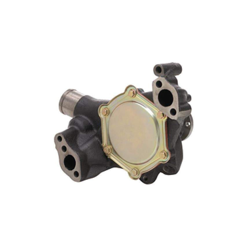 Dayco DP10031 Water Pump