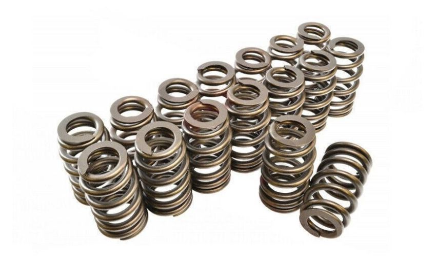 PAC RACING SPRINGS PACPAC-1219-16 1.307 Valve Springs - Ovate Beehive (16)