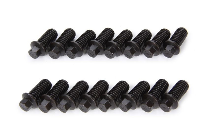 SCHOENFELD SCH3002-16 Header Bolt 3/8-16 x 1in 5/16 Head 16pack