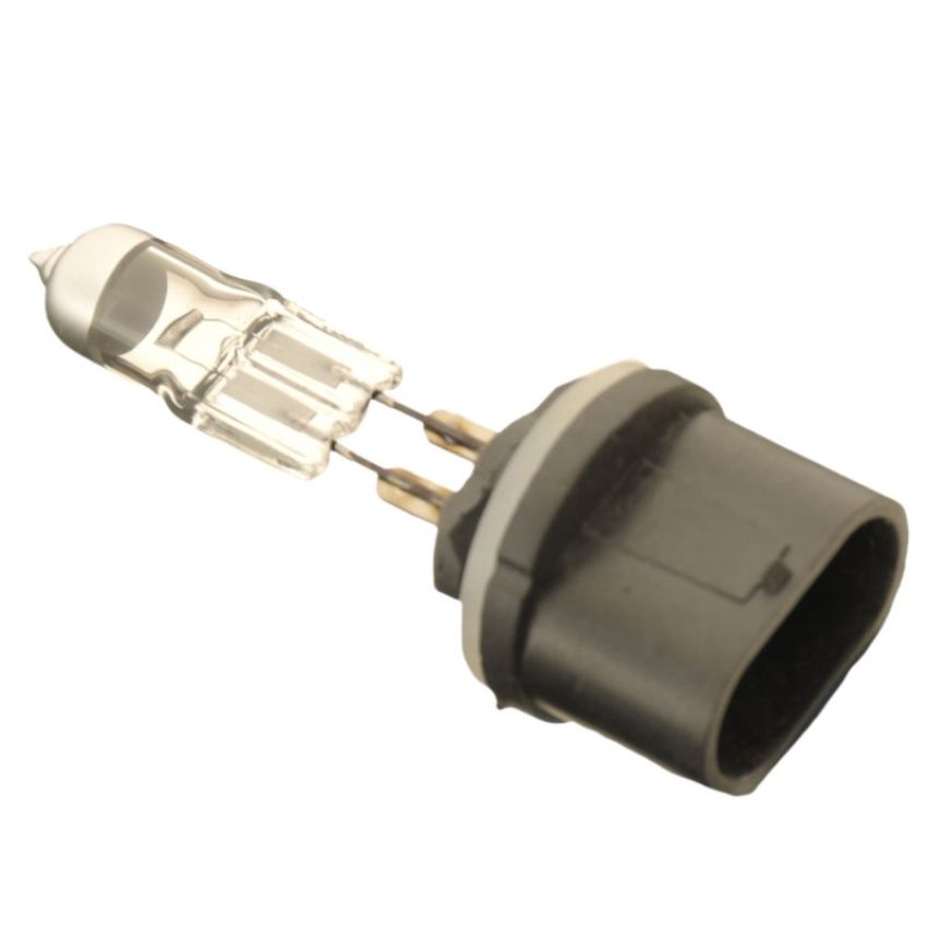 Autopart International Fog Light Bulb Pack of 1 BLB893