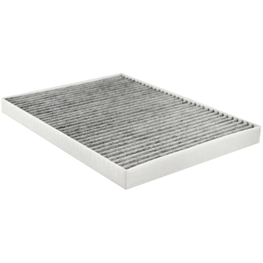 BALDWIN FILTERS PA10002 Cabin Air Element