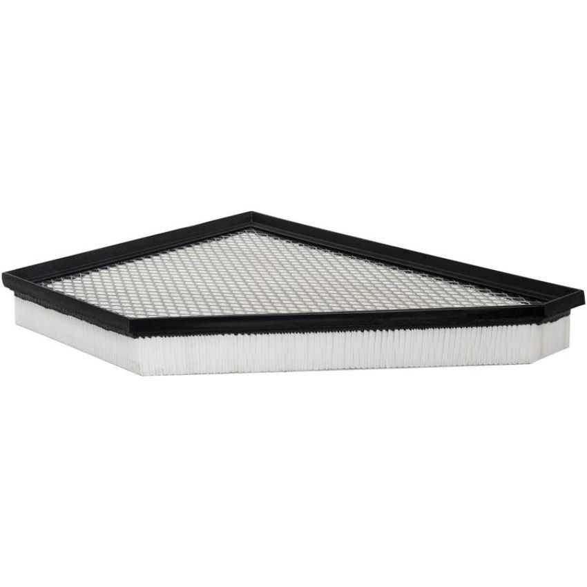 BALDWIN FILTERS PA10076 Panel Air Element