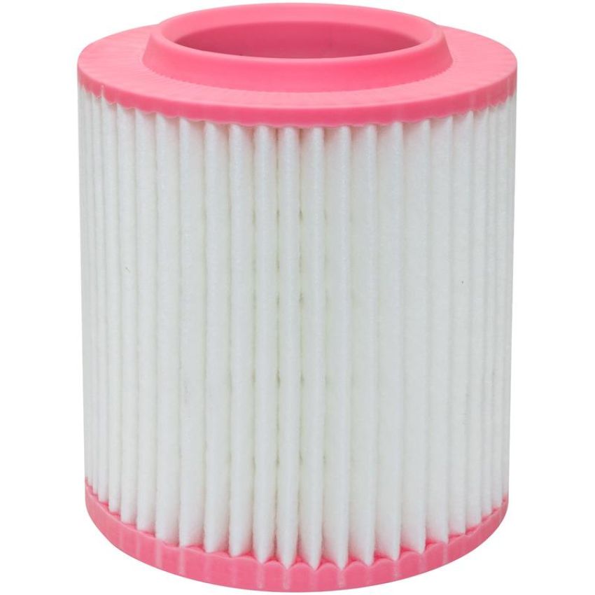 BALDWIN FILTERS PA10119 Air Element