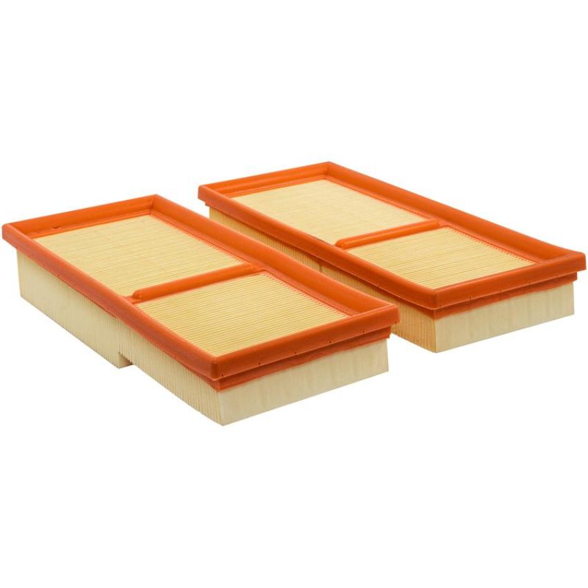 BALDWIN FILTERS PA10293 Set of 2 Panel Air Elements