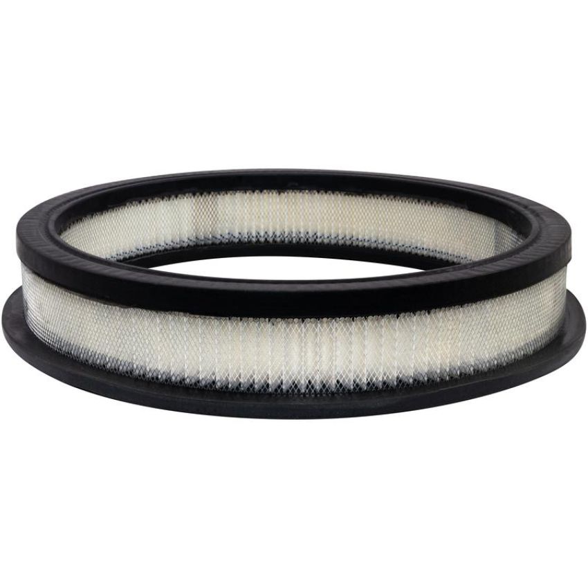 BALDWIN FILTERS PA10355 Air Element