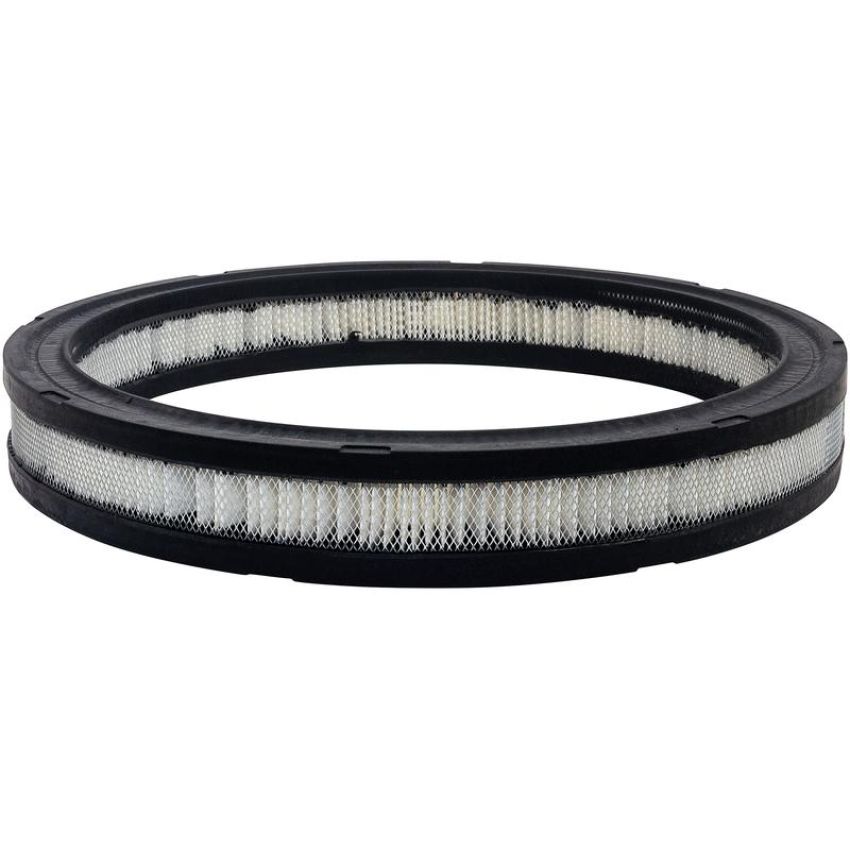 BALDWIN FILTERS PA10356 Air Element