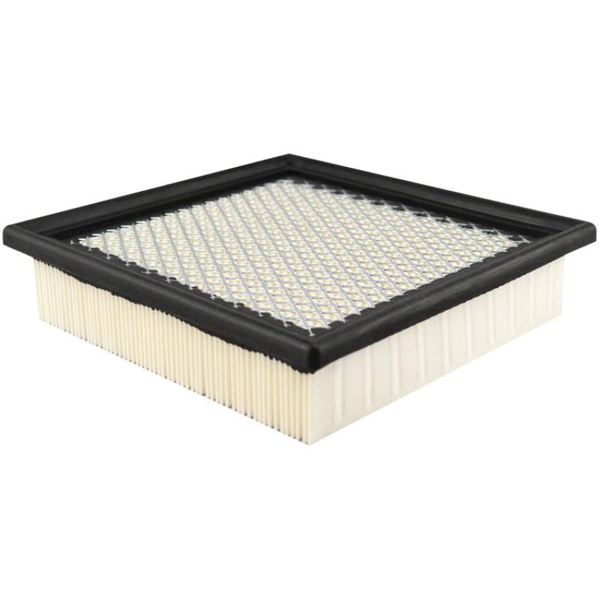 BALDWIN FILTERS PA10389 Panel Air Element
