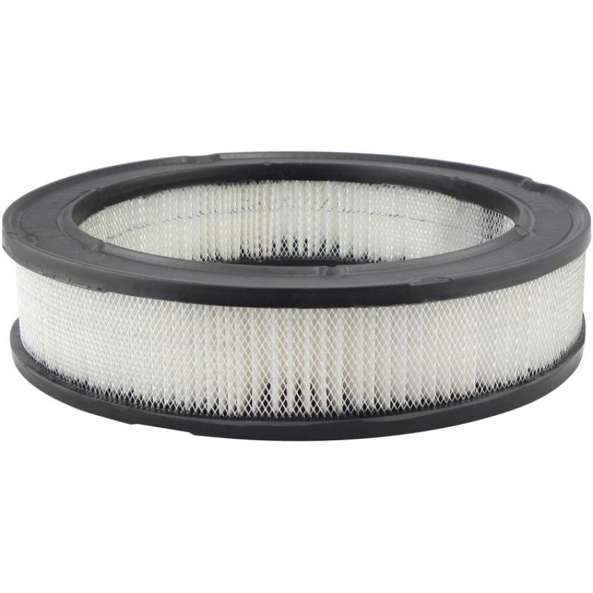 BALDWIN FILTERS PA1735 Air Element